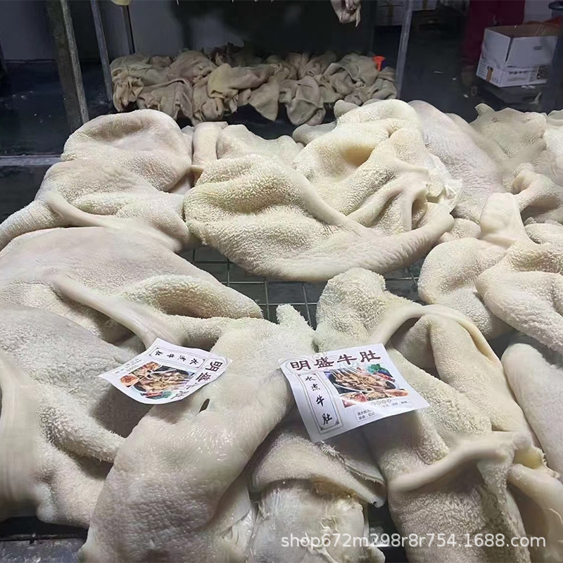 新鲜冷冻水煮牛肚 半熟牛肚水发牛肚 整块大肚火锅商用15公斤