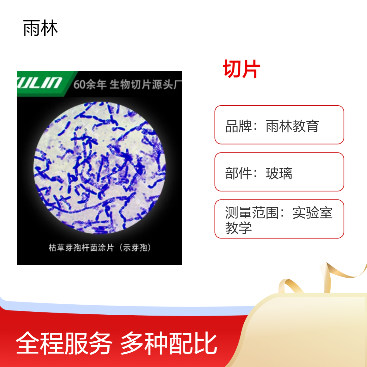 微生物学类杆菌类切片套装40片显微镜标本细胞载玻片观察实验高校