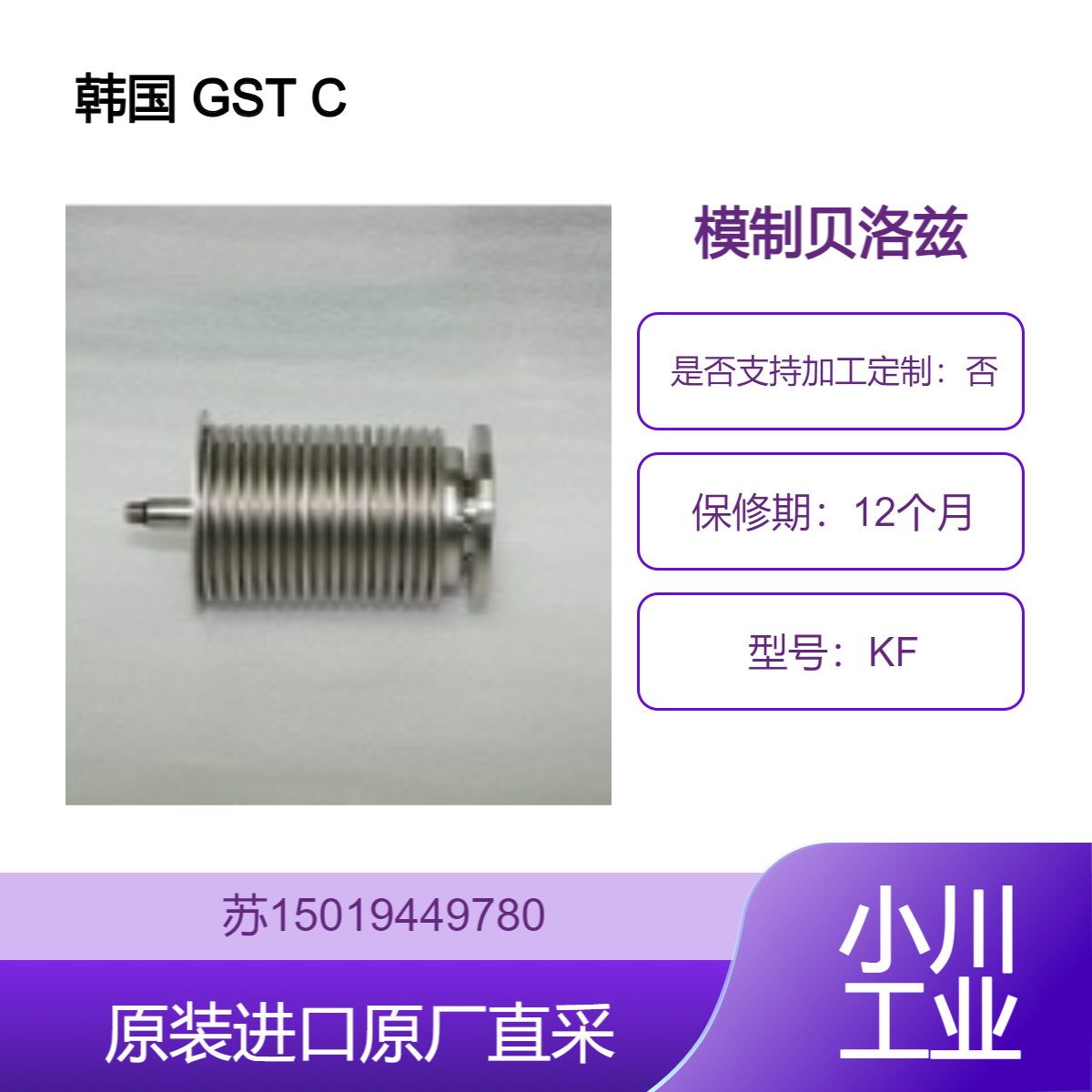 韩国 GST CO LTD 模制贝洛兹 适用于半导体行业 高纯度气体的精确输送