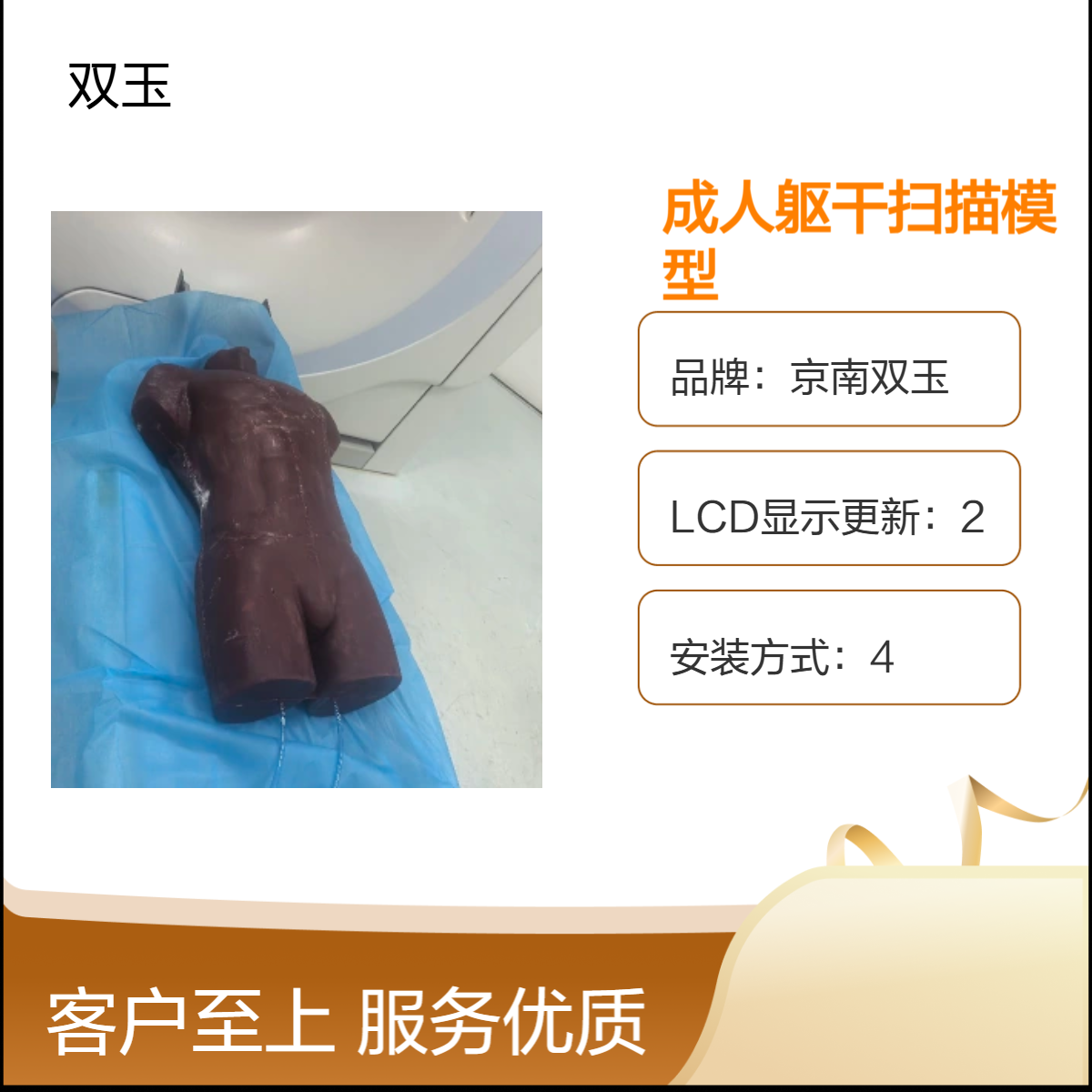 成人躯干扫描模型质量产品一年质保加工定制京南双