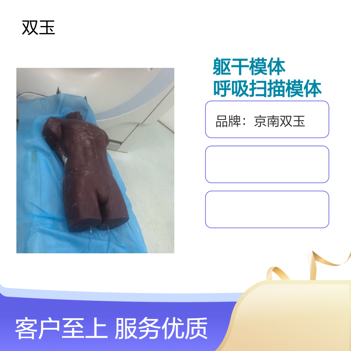 呼吸运动成人躯干模体肺部呼吸扫描模体非标定做