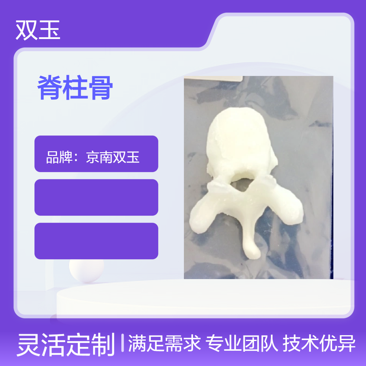 通用腰椎模体核磁CT超声脊柱骨密度定量质量控制
