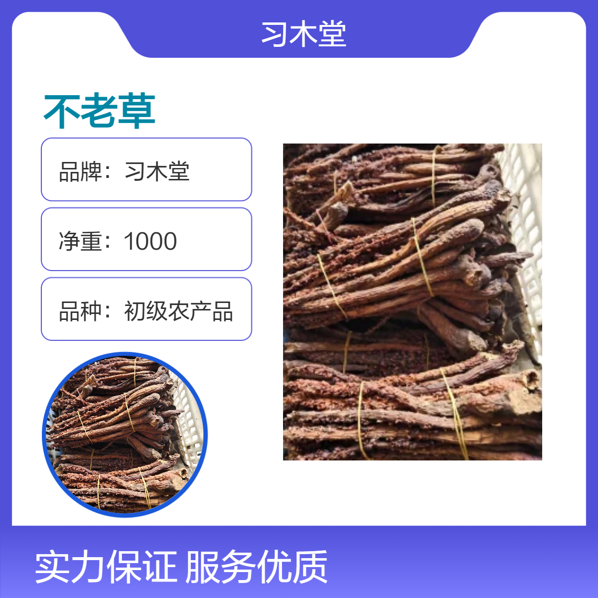不老草 草苁蓉 顶天柱 批发 各种规格 精选 好品质