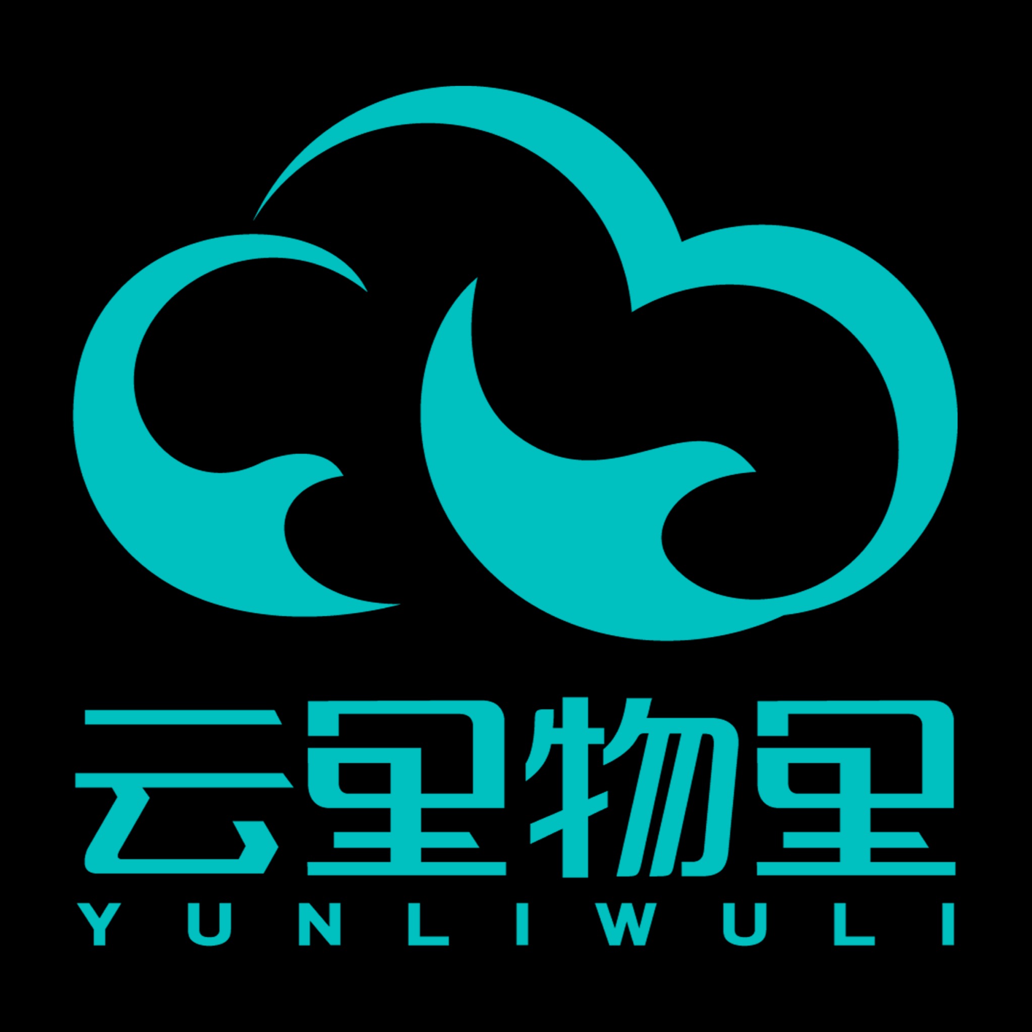 深圳云里物里科技股份有限公司 - 公司logo
