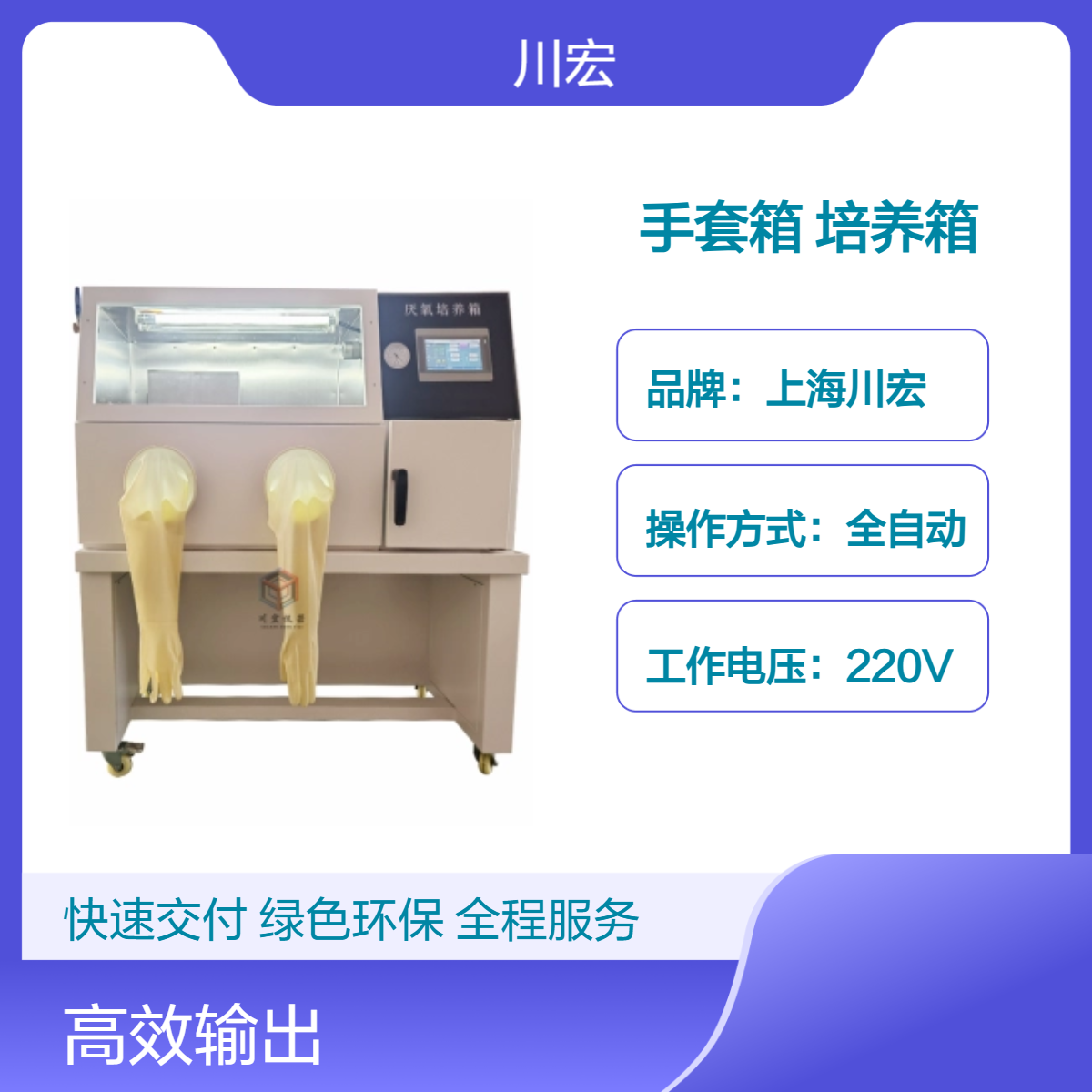 川宏仪器 真空厌氧手套箱 YQX-III 微需氧培养箱
