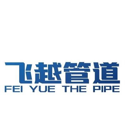 沧州飞越管道有限公司