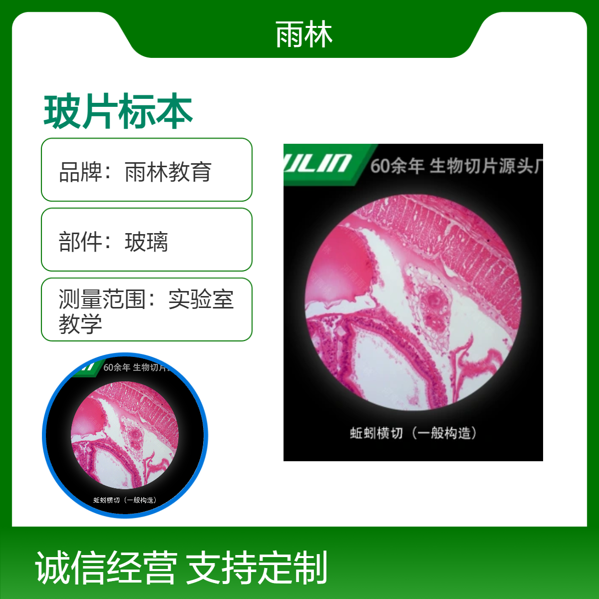 动物玻片标本套装36种校用教学示范显微镜科研实验生物切片