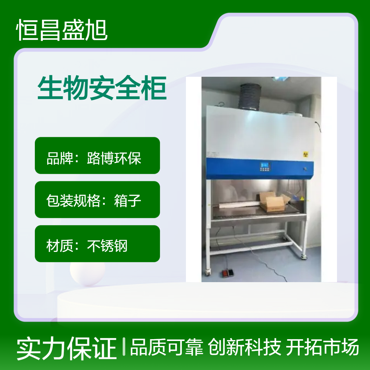 路博环保 不锈钢单人生物安全柜 承重 稳固耐用