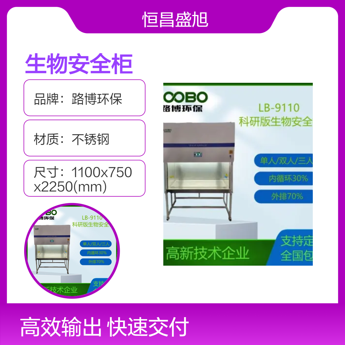 路博环保 LB-9110 双人生物 安全柜 稳固耐用 200kg承重