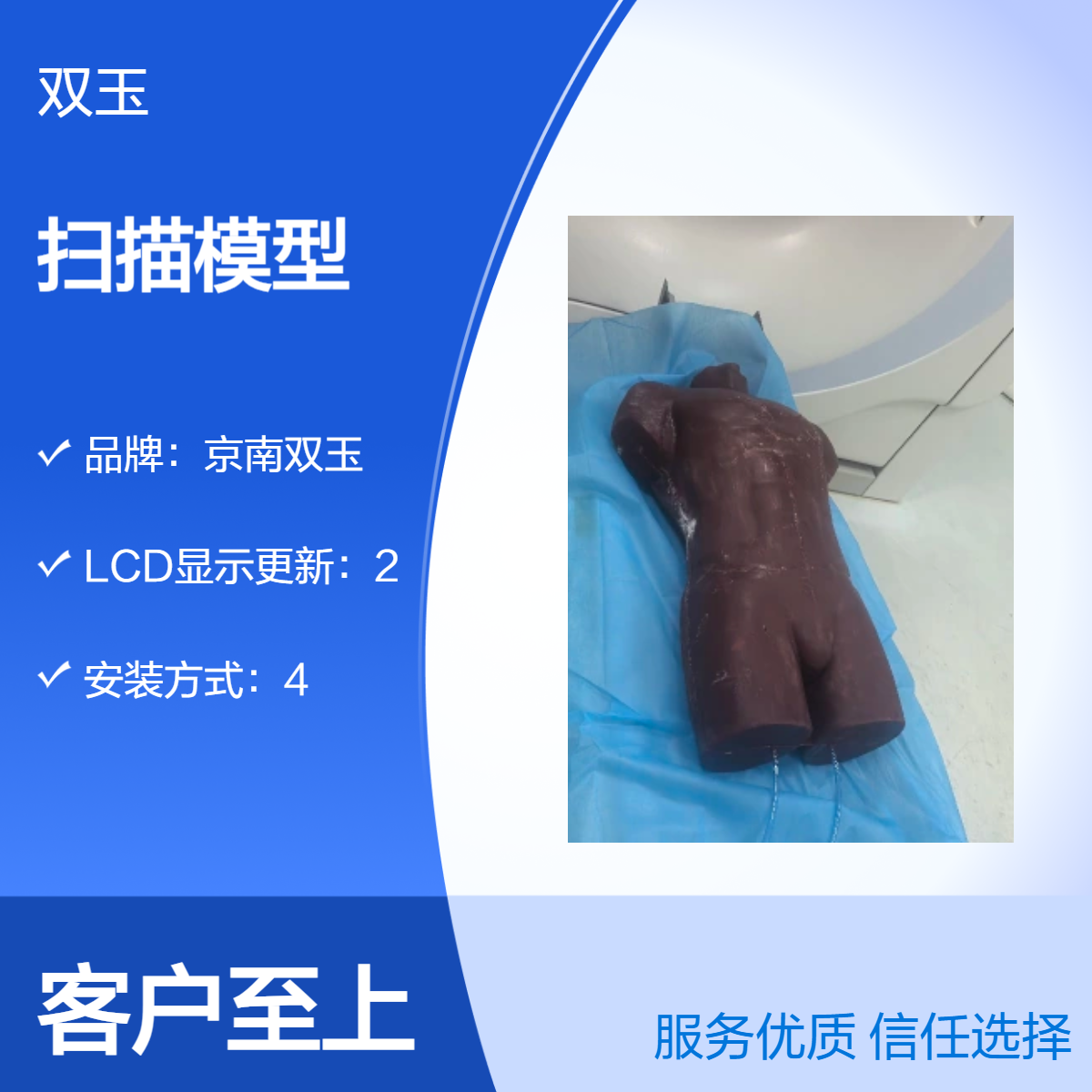 订制成人躯干模体影像学科教学培训扫描模型订做加工