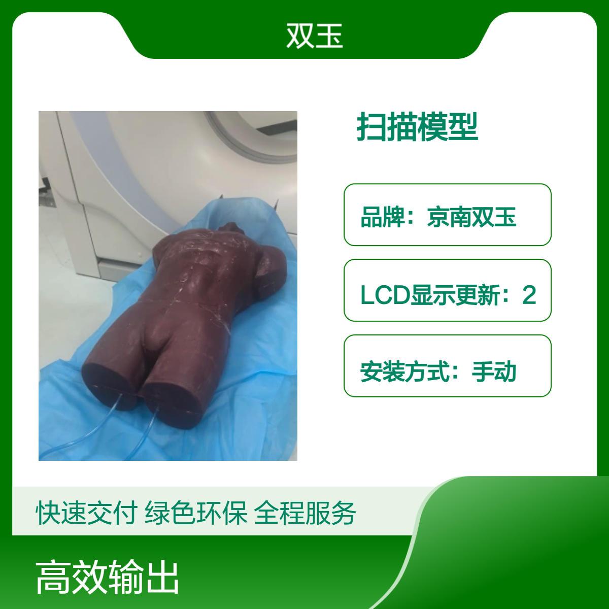 订制成人躯干模体影像学科教学培训扫描模型订做加工
