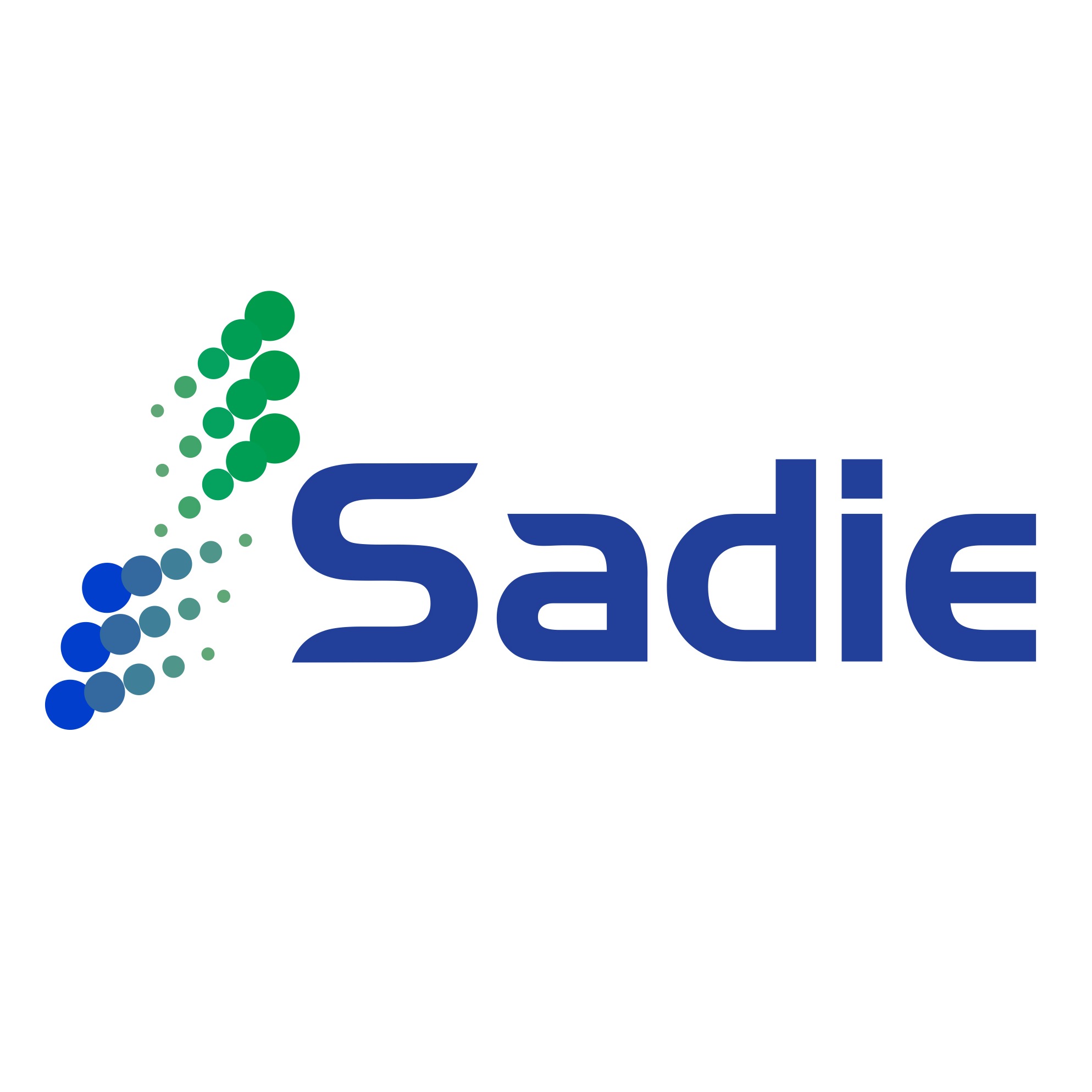 深圳赛迪工程塑料有限公司 - 公司logo