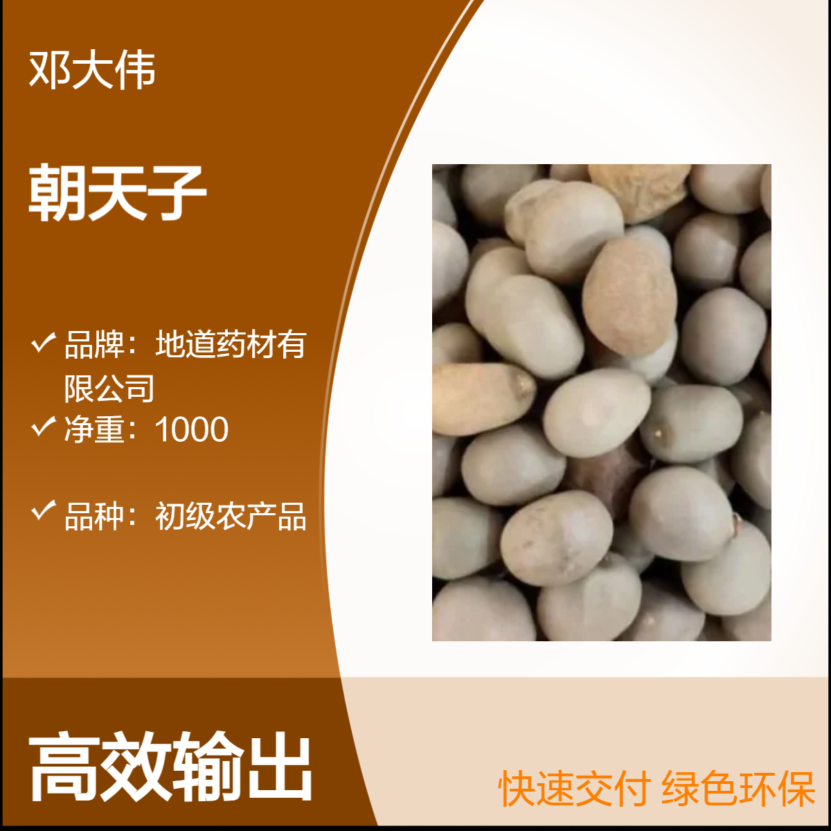 冷背中药材朝天子产地直售 自然晒干 保证质量 规格齐全 药材地道