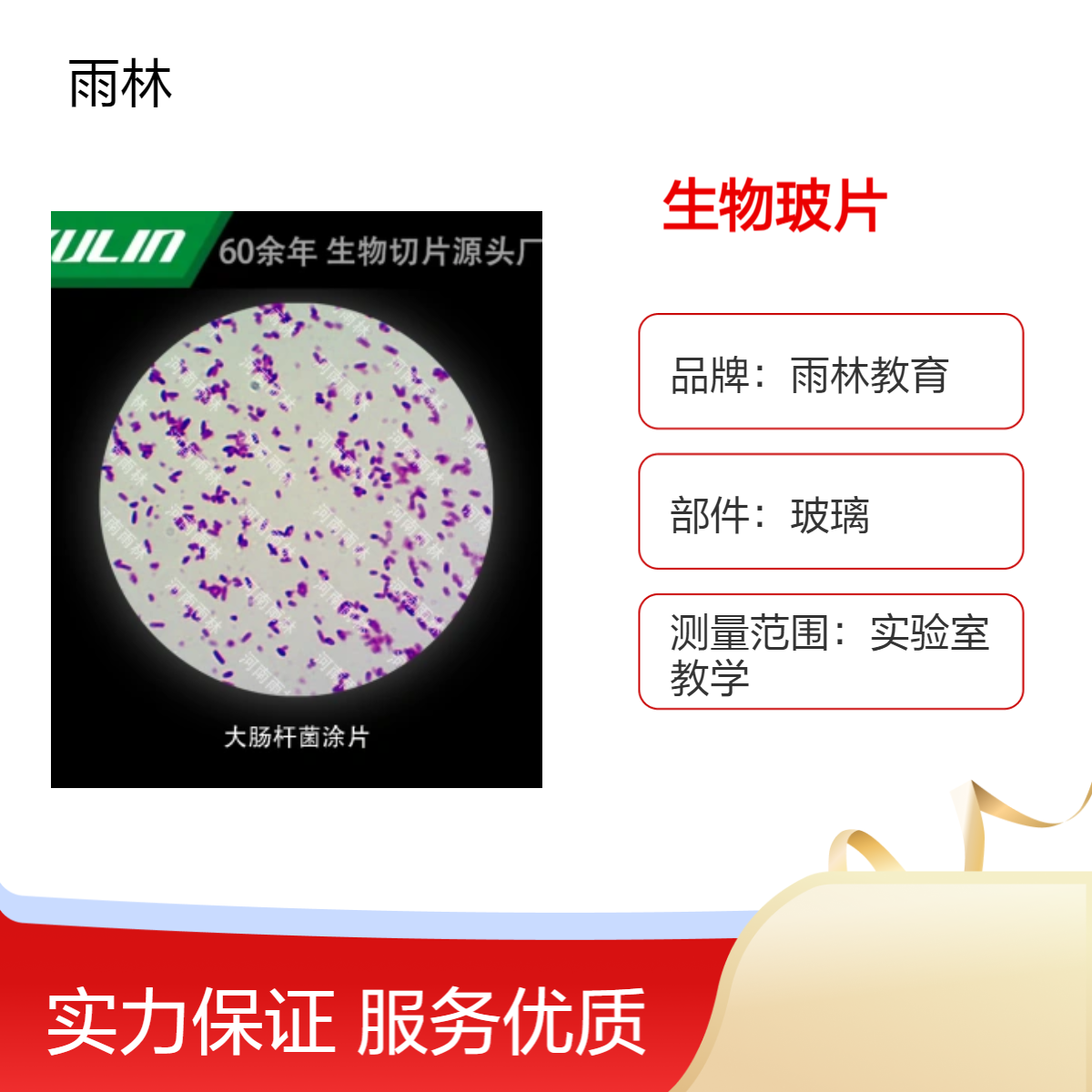 藻类霉菌类生物玻片套装3种细胞载玻片观察实验教学示范显微镜