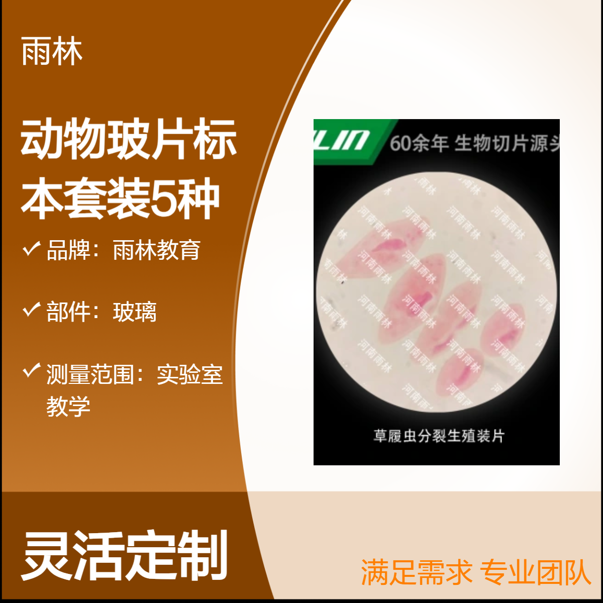 动物玻片标本套装5种生物细胞载玻片观察校用实验教学示范显微镜