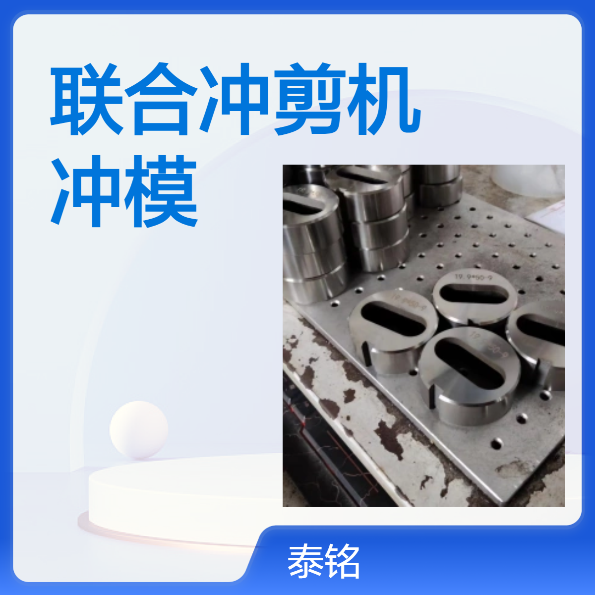 泰铭 供应联合冲剪机冲头冲模42CRMO材质锻打工艺锋利耐用不缺口