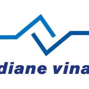 上海戴安维特金属有限公司