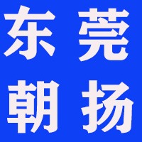 东莞市朝扬自动化科技有限公司
