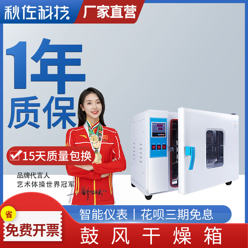 电热恒温鼓风干燥箱实验室工业用小型高温烘箱真空老化烘干机烤箱