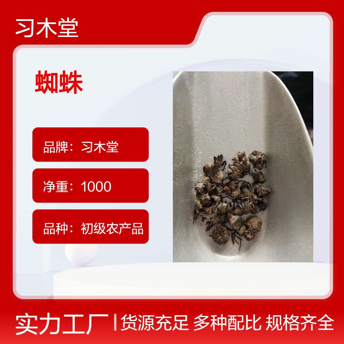 供应 蜘蛛 各种规格 当年新货 无硫 好品质 冷背药材批发
