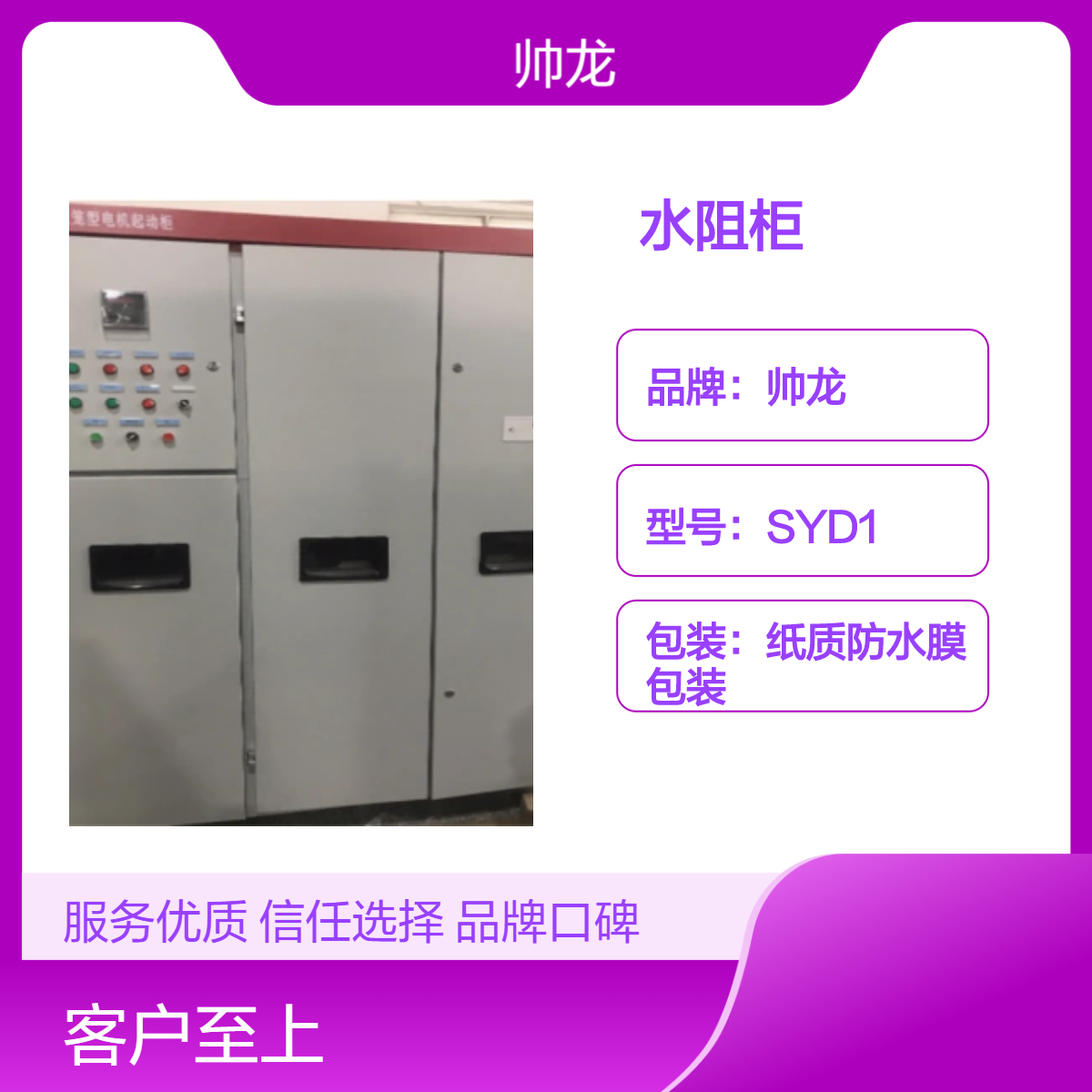 帅龙SYD3型水阻柜高压电机软启动柜 经济耐用姓起动装置