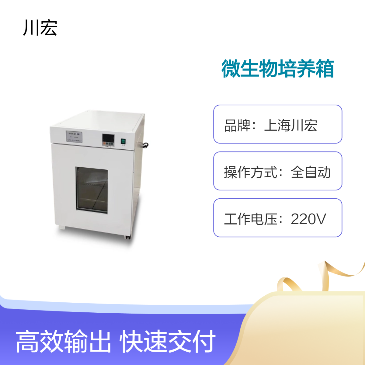 小型实验室 电热恒温 立式微生物培养箱 DH2500B
