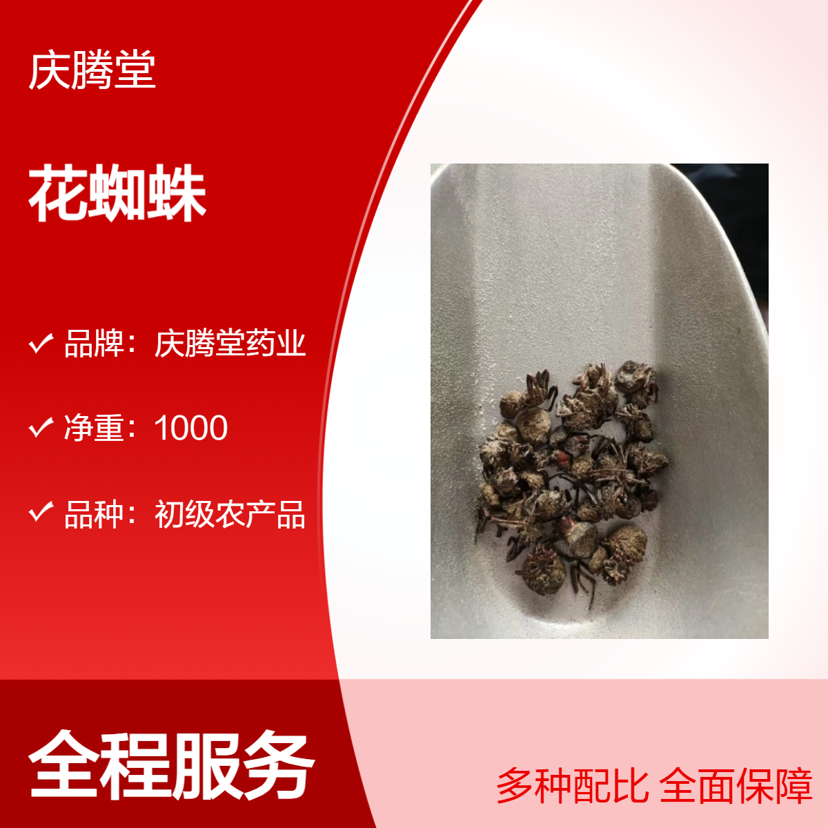 供应 花蜘蛛 中药 无硫 新货 自然晒干 品质好 道地药材