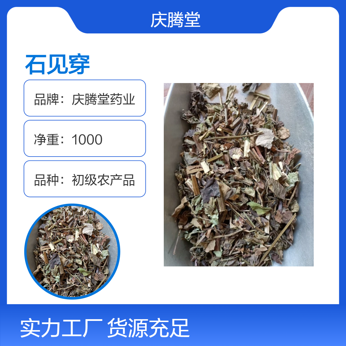 批发 石见穿 中药材 产地直售 规格齐全 自然晒干 品质好
