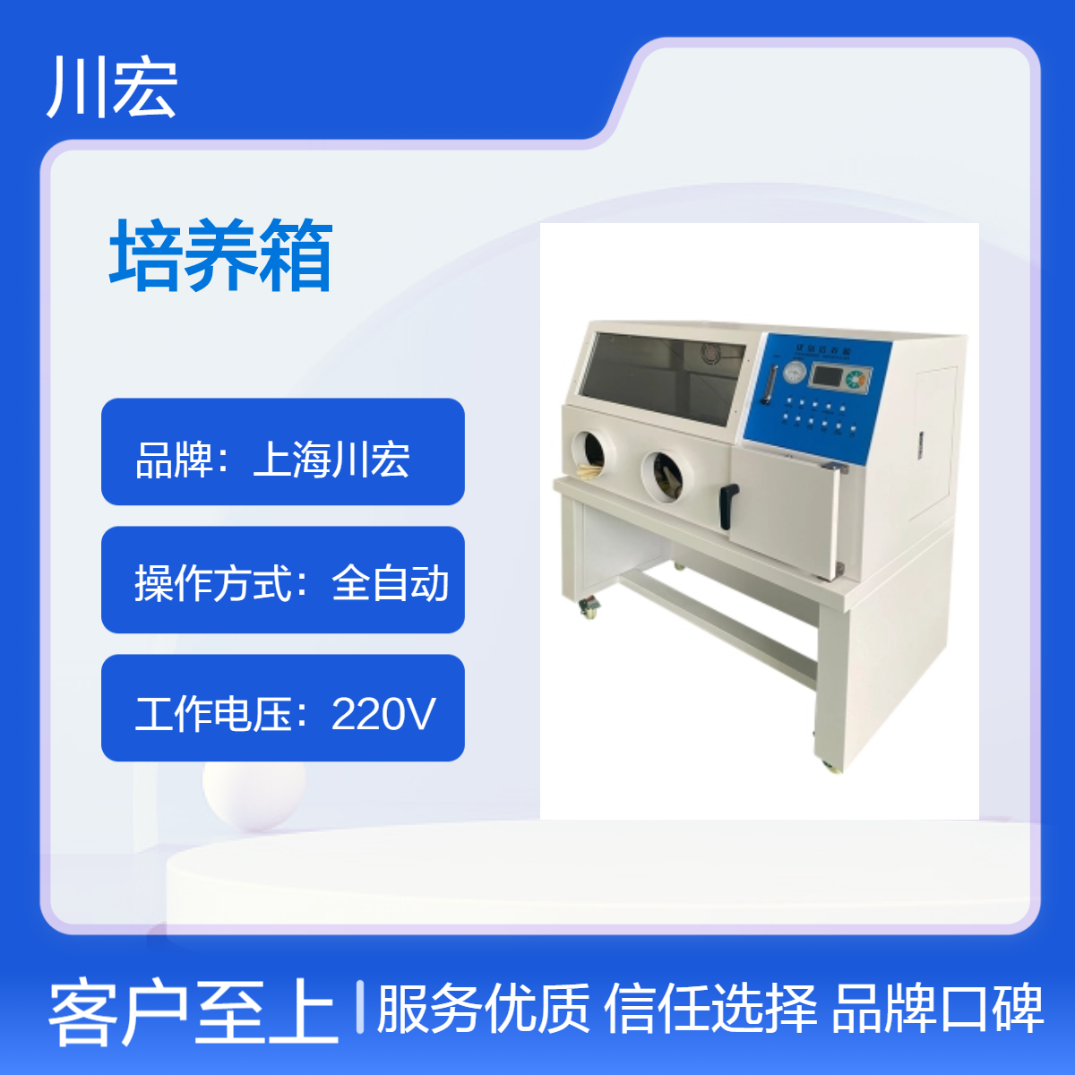 实验室 厌氧手套恒温微需氧细菌培养箱 YQX-II