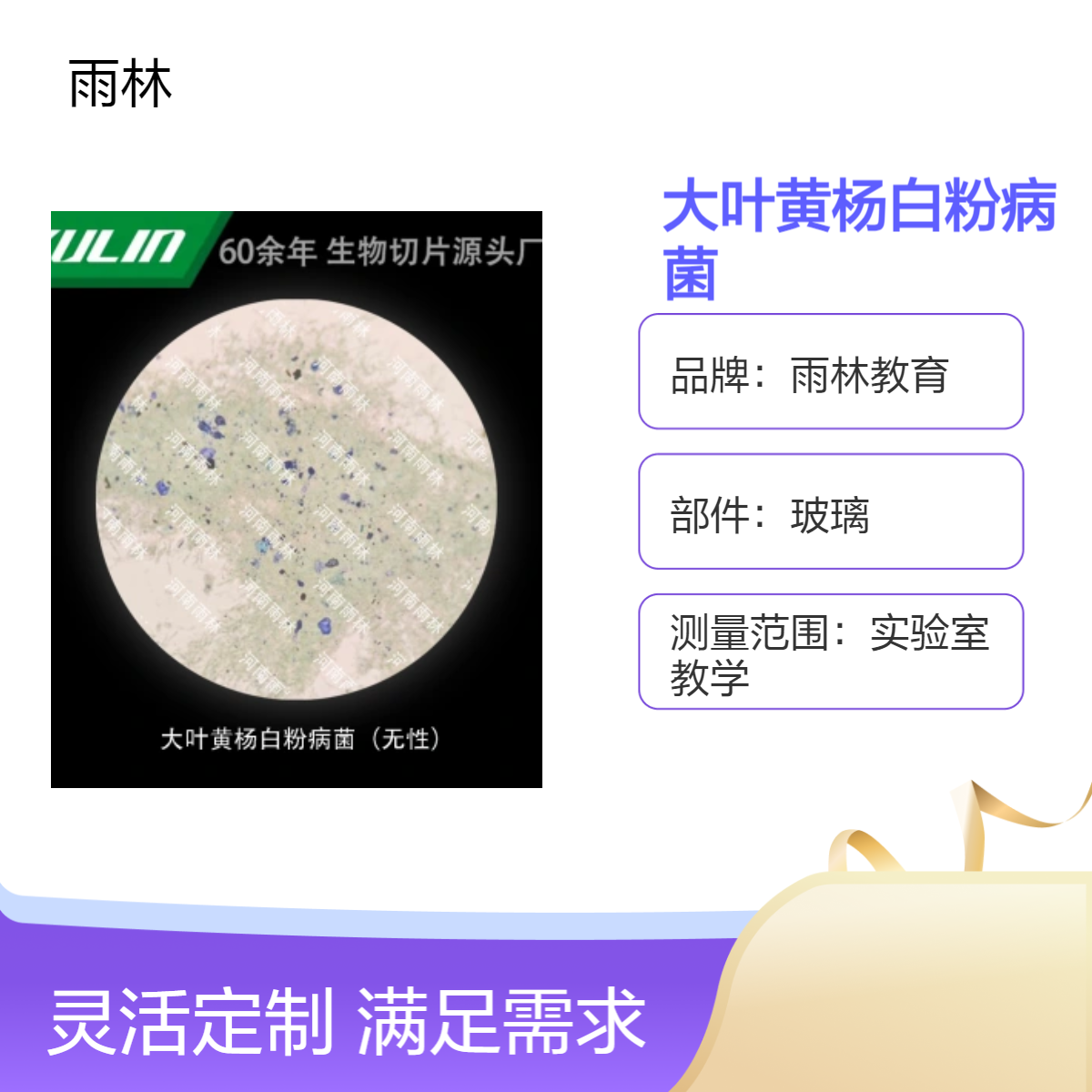 大叶黄杨白粉病菌显微镜标本切片动植物细胞观察实验高校教学示范