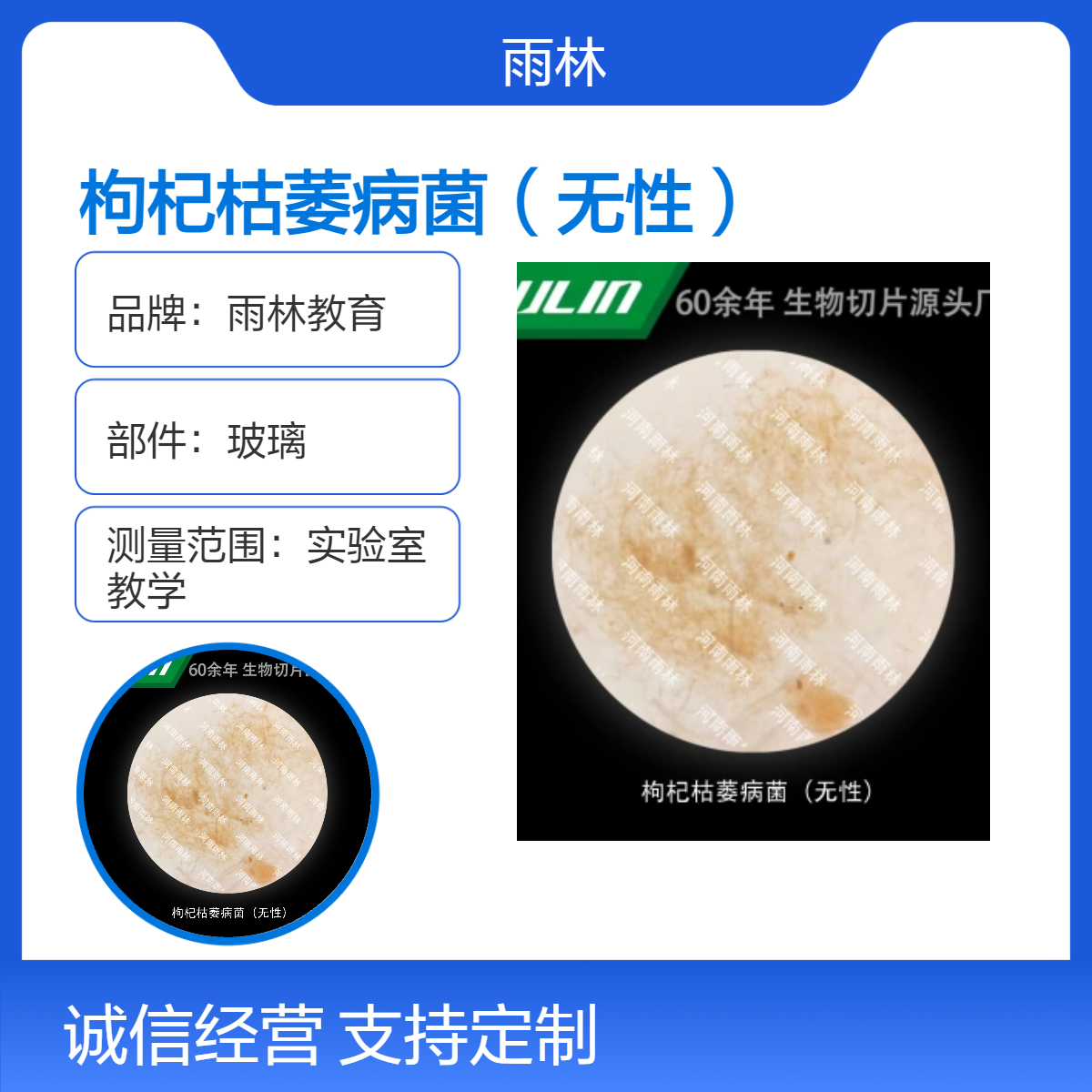 梨锈病菌（锈孢子）显微镜标本动植物细胞观察实验高校教学示范