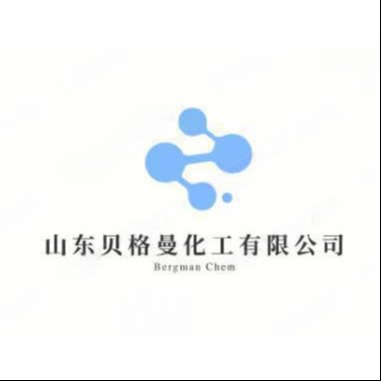 山东贝格曼化工有限公司 - 公司logo