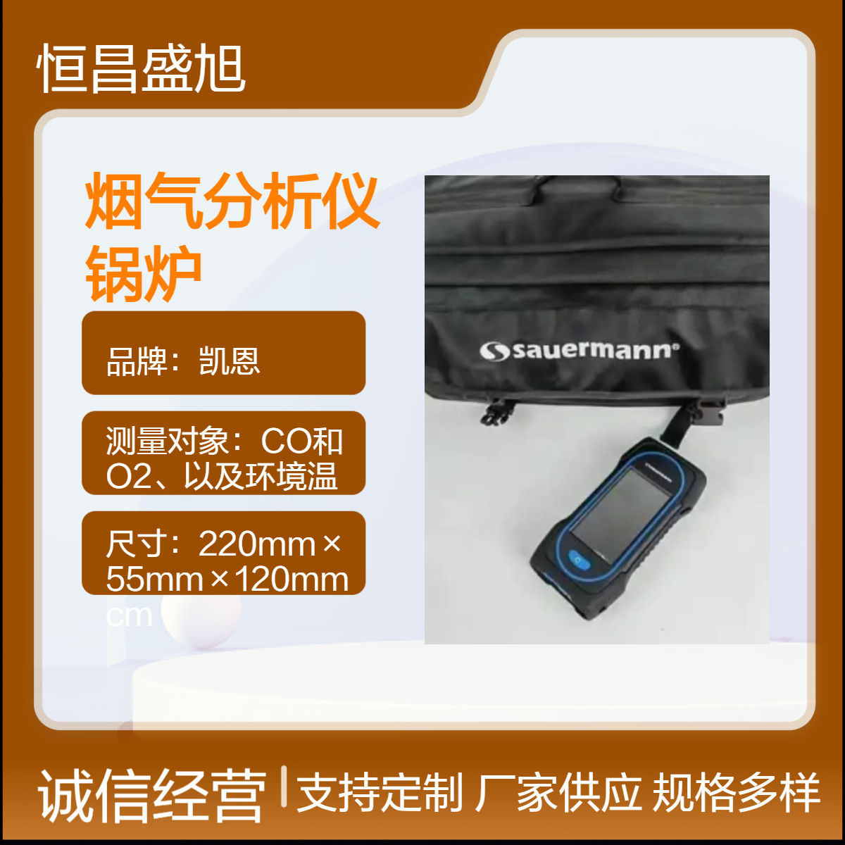 烟气氮氧化物检测仪 法国索尔曼Si-CA 130壁挂炉测试仪