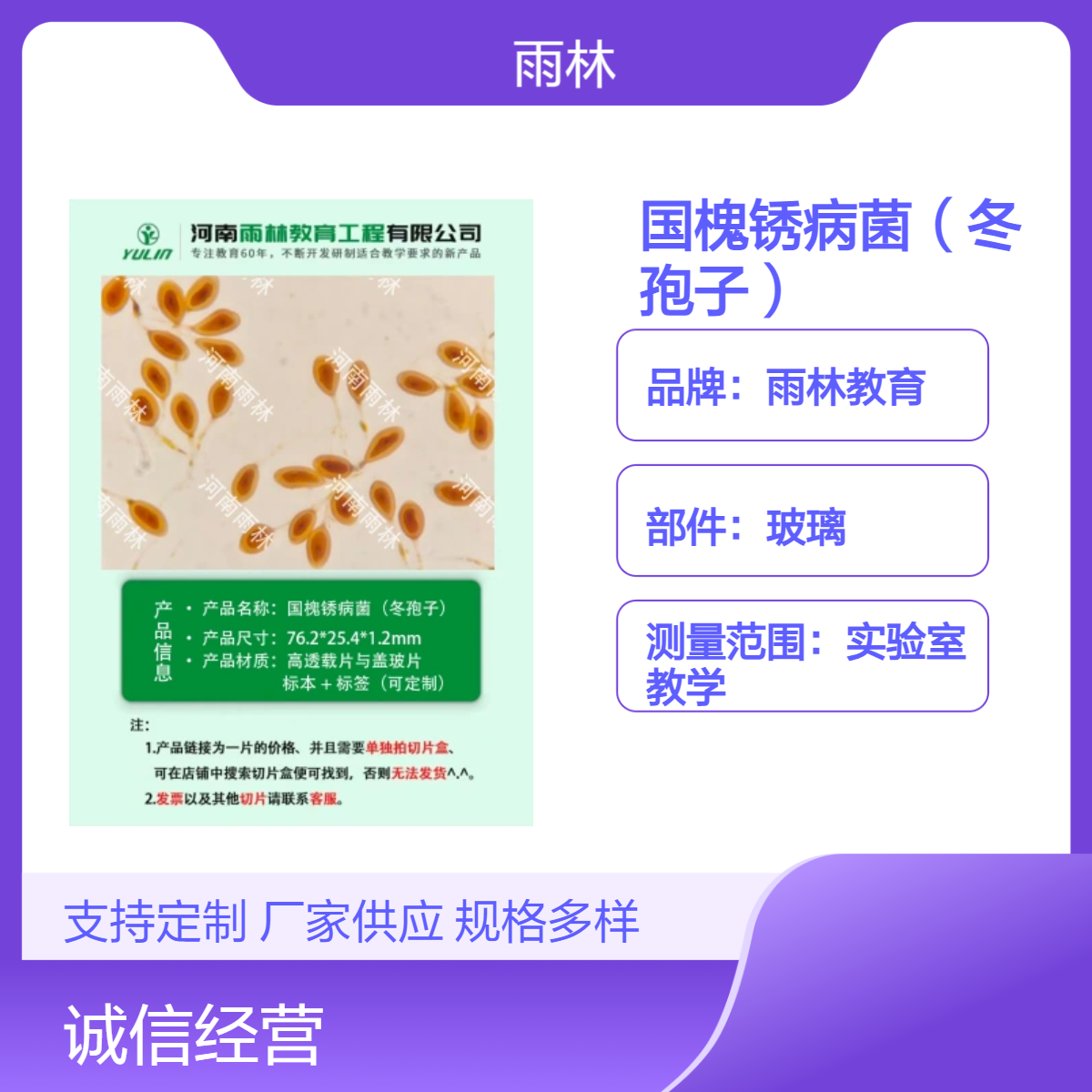 国槐锈病菌（冬孢子）显微镜标本切片动植物细胞观察实验高校教学