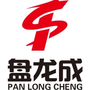 山东盘龙成工控科技有限公司 - 公司logo