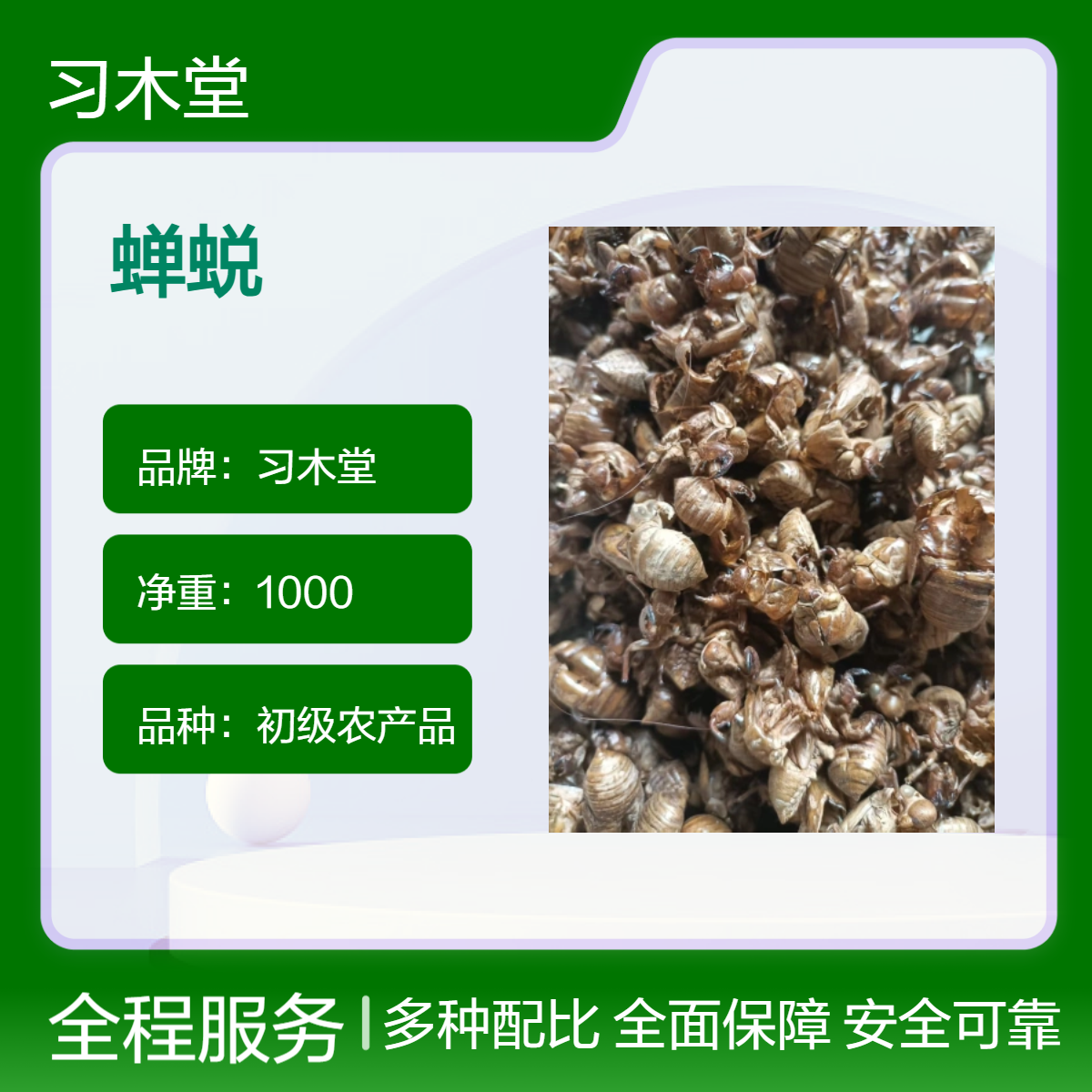 习木堂 蝉蜕 蝉衣 蝉壳 各种规格 批发 品质好 干净 无杂质