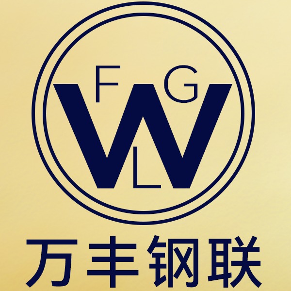天津万丰钢联贸易有限公司 - 公司logo