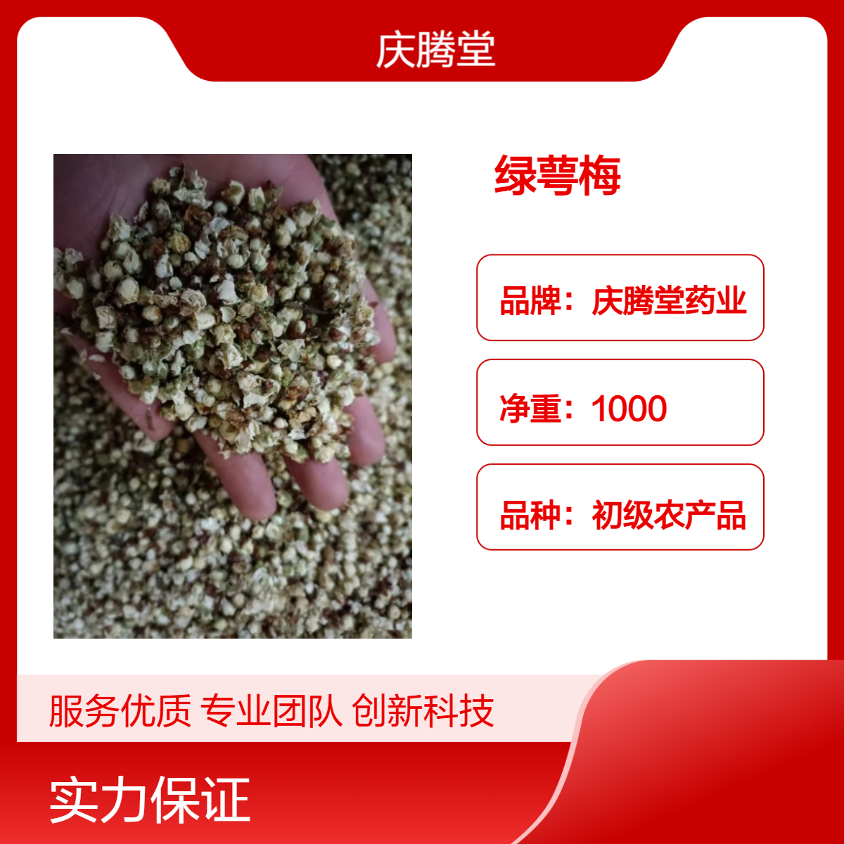 批发 中药材 绿萼梅 绿梅花 当年新货 精选 各种规格 品质正宗