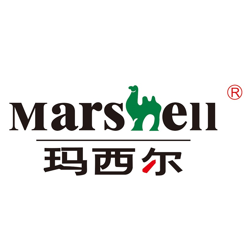 广东玛西尔电动科技有限公司 - 公司logo