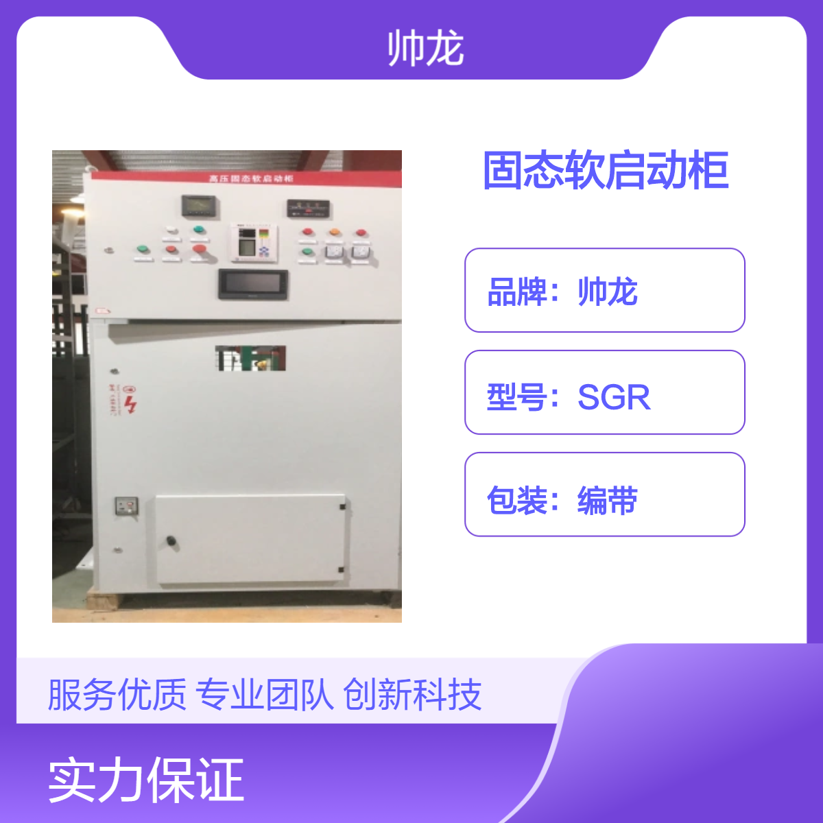 帅龙SGR型高压固态软启动柜 泵站水泵启动控制柜 起动柜