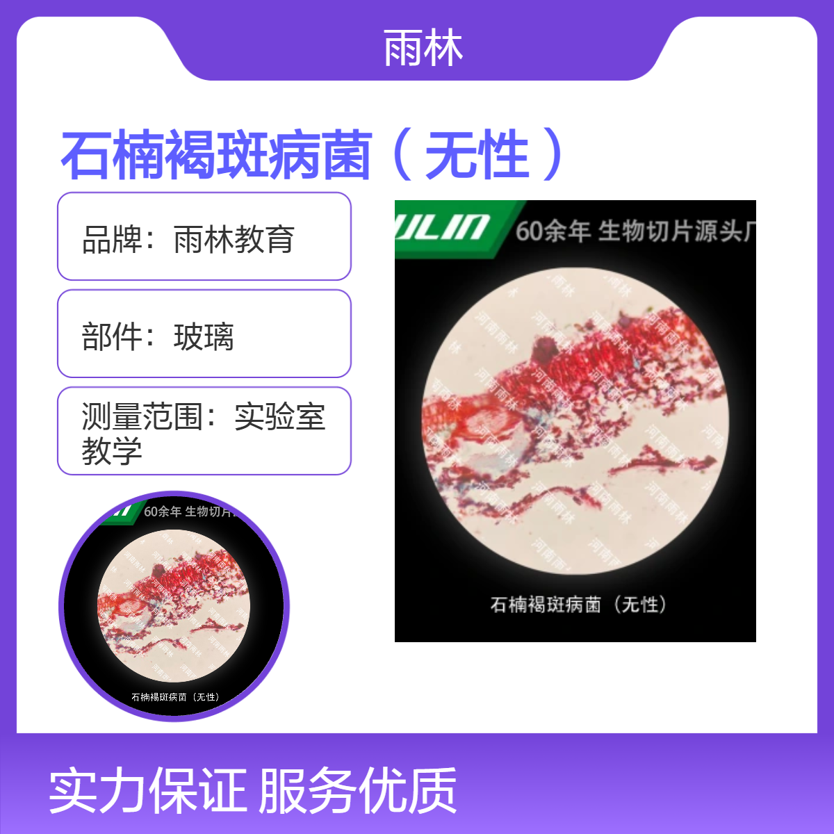 石楠褐斑病菌（无性）显微镜标本切片动植物细胞观察实验高校教学