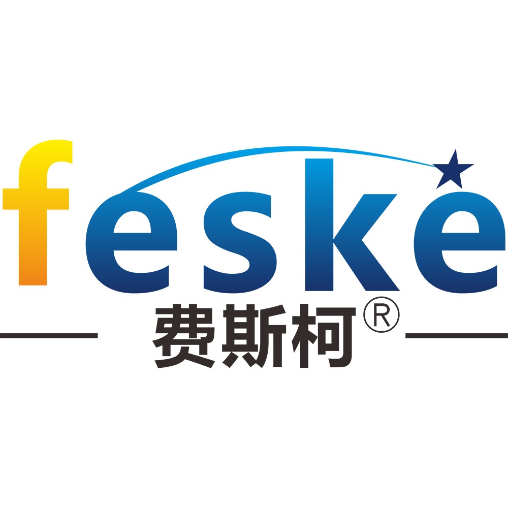 广东费斯柯自动化科技有限公司