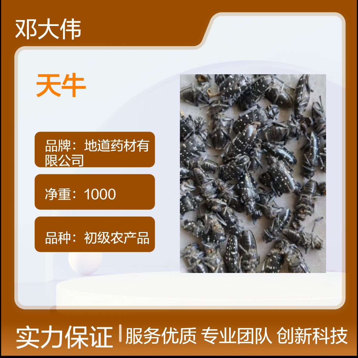 原色初级农产品天牛原药材 常年售货 货源充足 质量保证