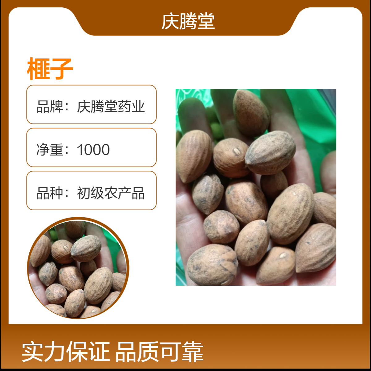 各种籽药供应 榧子 沙苑子 菟丝子 常年批发 各种规格 无硫 品质好