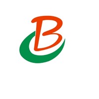 苏州佰林特新材料有限公司 - 公司logo