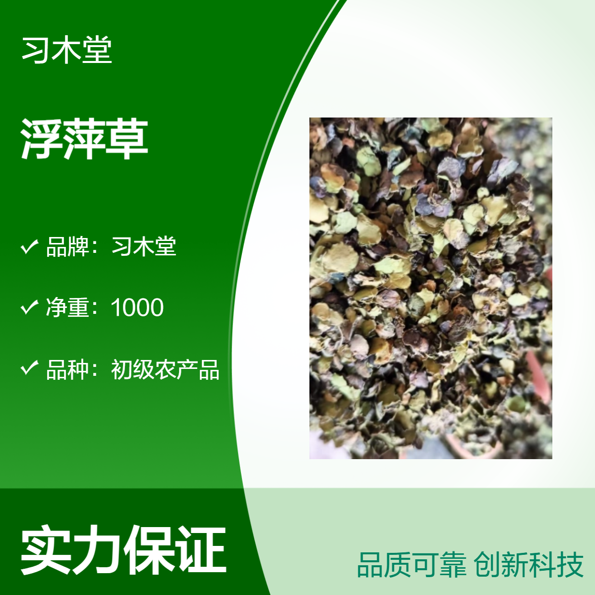中草药 供应 浮萍草 车前草 鱼腥草 当年新货 无硫 品质正宗
