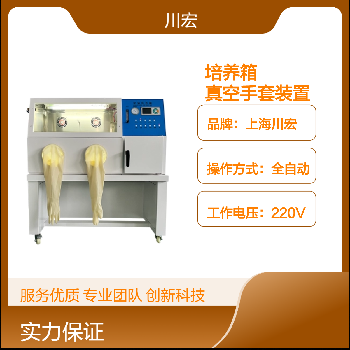 厌氧培养箱真空手套箱微需氧培养装置 YQX-II