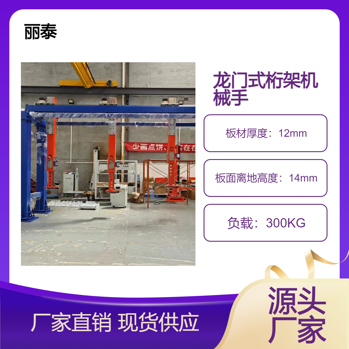 丽泰齿轮齿条滑台模组300KG码垛搬运机械手龙门桁架