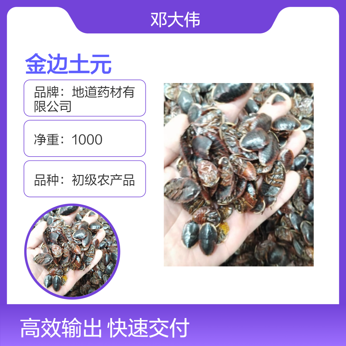 原色金边土元 原药材初级农产品 散装3年保质 药材地道