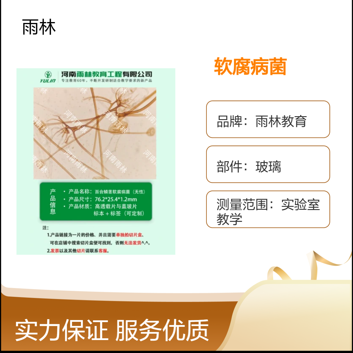 百合鳞茎软腐病菌（无性）显微镜切片动植物细胞观察实验高校教学
